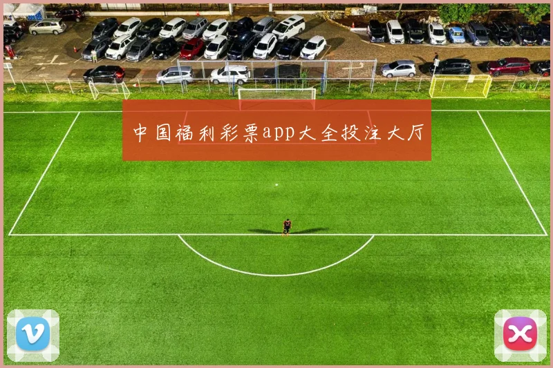 中国福利彩票app大全投注大厅