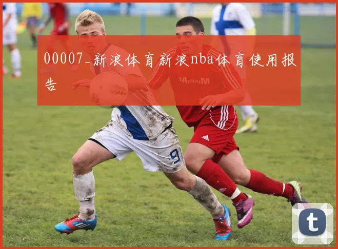 00007_新浪体育新浪nba体育使用报告