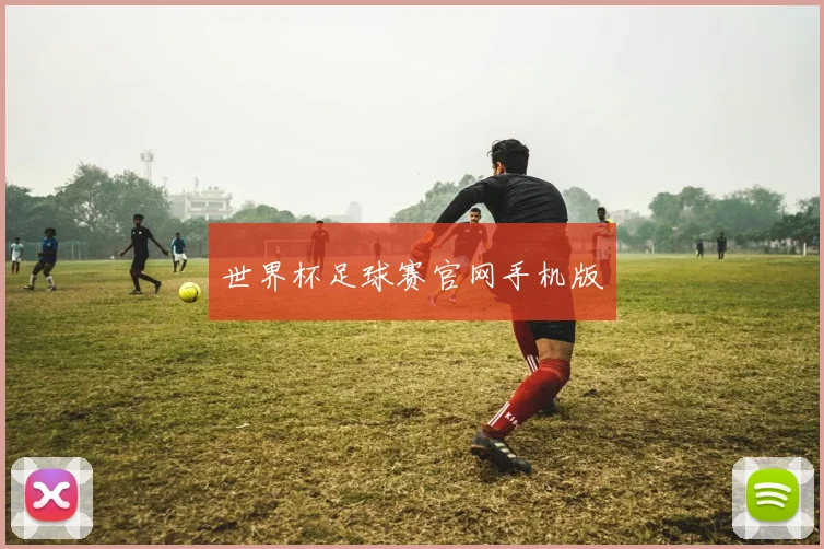 世界杯足球赛官网手机版