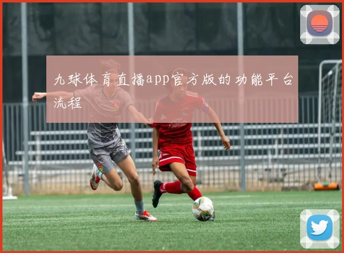 九球体育直播app官方版的功能平台流程