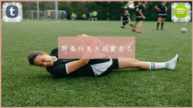 斯洛伐克决战爱尔兰