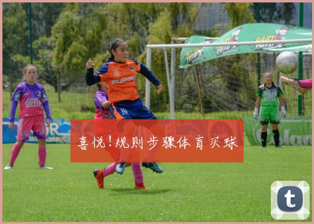 喜悦!规则步骤体育买球