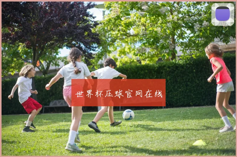 世界杯压球官网在线