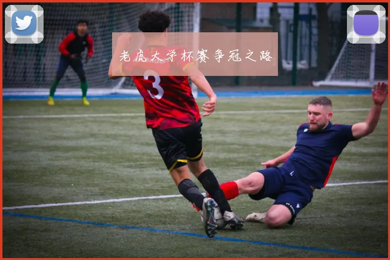老虎大学杯赛争冠之路