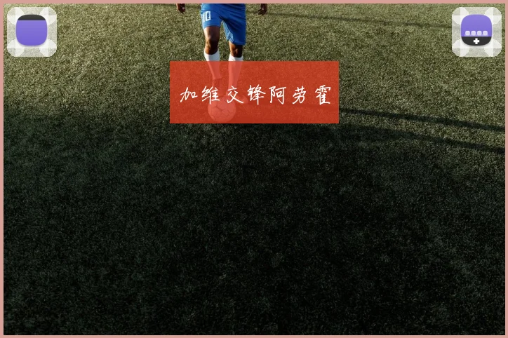 加维交锋阿劳霍
