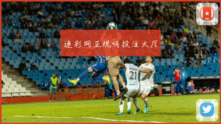 速彩网正规吗投注大厅