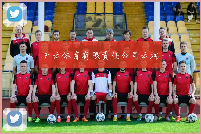 开云体育有限责任公司云端