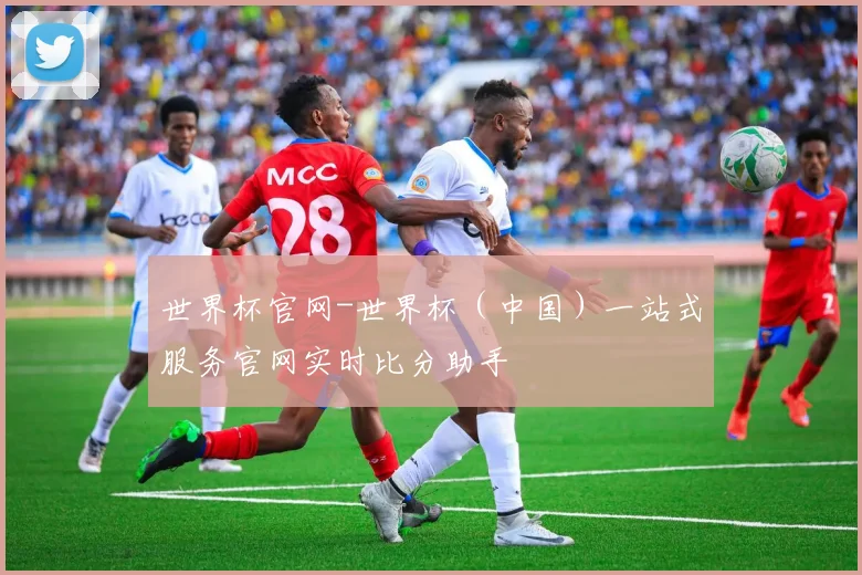 世界杯官网-世界杯（中国）一站式服务官网实时比分助手