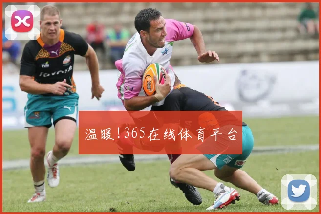 温暖!365在线体育平台