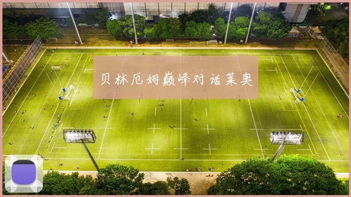 贝林厄姆巅峰对话莱奥