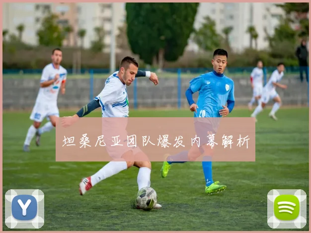 坦桑尼亚团队爆发内幕解析