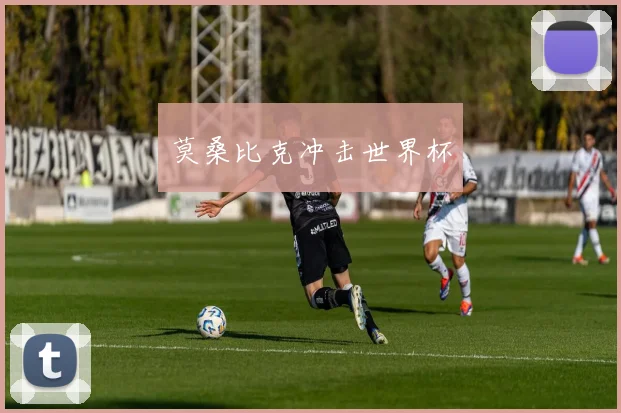 莫桑比克冲击世界杯
