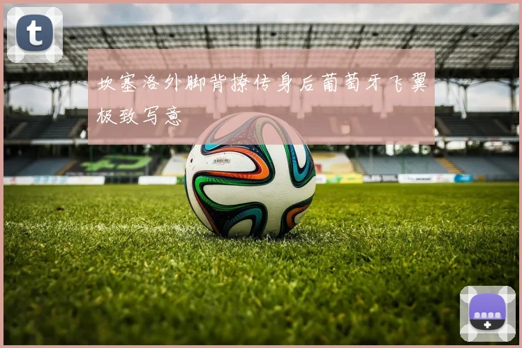 坎塞洛外脚背撩传身后葡萄牙飞翼极致写意