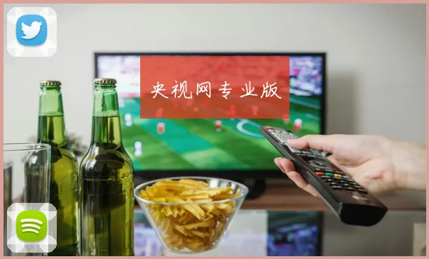 央视网专业版