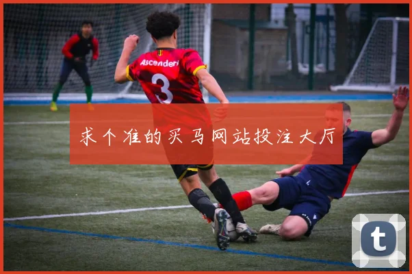 求个准的买马网站投注大厅
