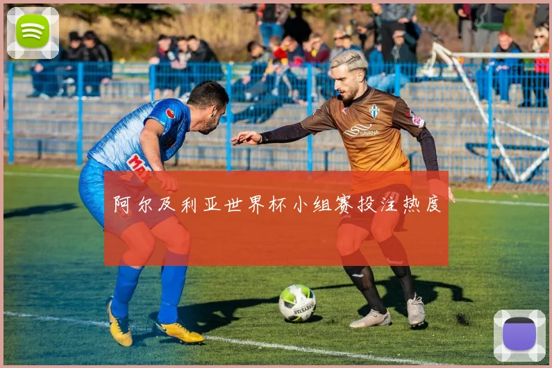 阿尔及利亚世界杯小组赛投注热度