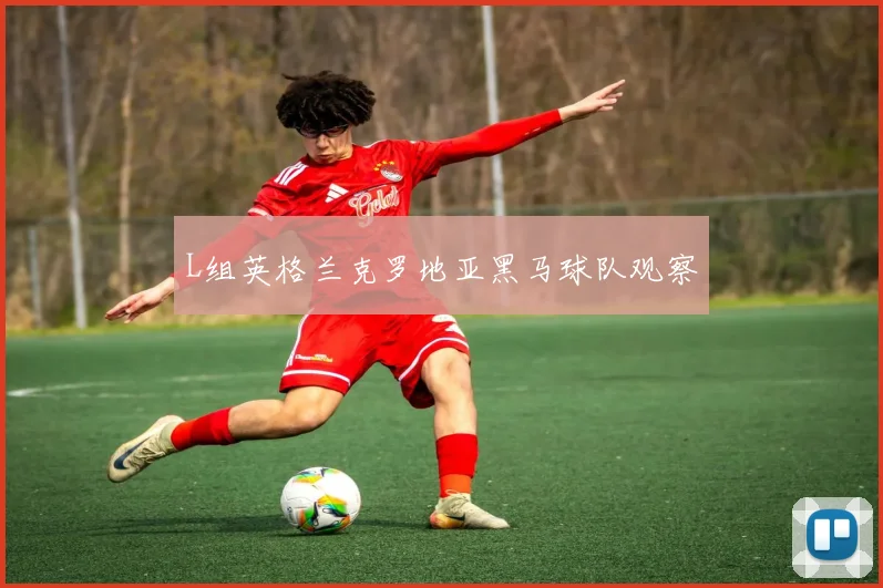 L组英格兰克罗地亚黑马球队观察
