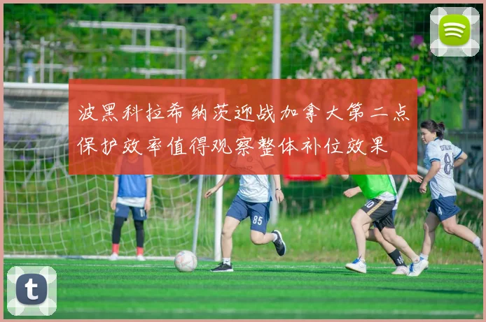波黑科拉希纳茨迎战加拿大第二点保护效率值得观察整体补位效果